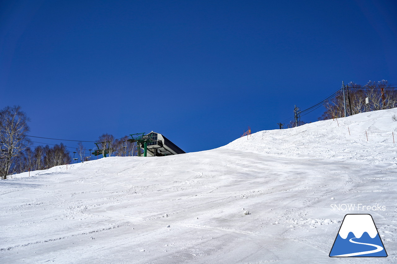 サッポロテイネ　真っ白な雪、澄んだ青空。ゴールデンウィーク２日目は、旭岳～羊蹄山まで見渡せる絶好の春スキー＆スノーボード日和に☆